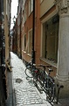 DSC_0165 1_out